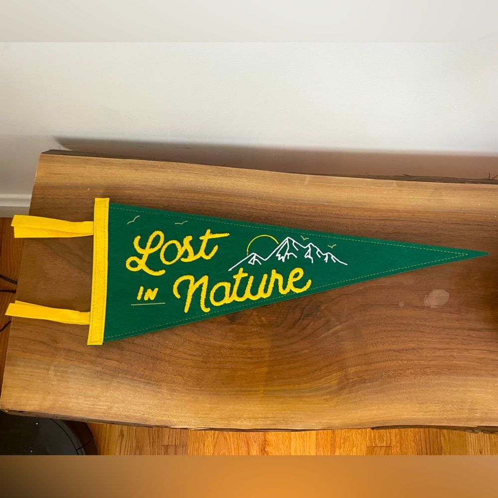LOST IN NATURE Pennant Retro Style Green Felt 20 Inches Decor Target Baby Room